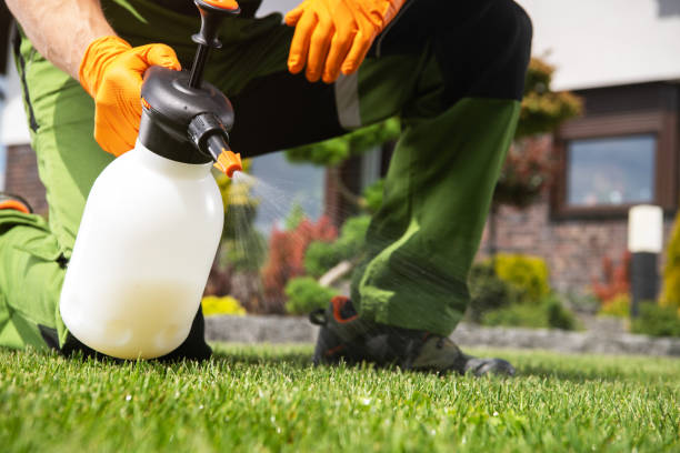 Best Mosquito Control Services  in Galax, VA