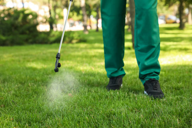 Best Best Pest Control Companies  in Galax, VA