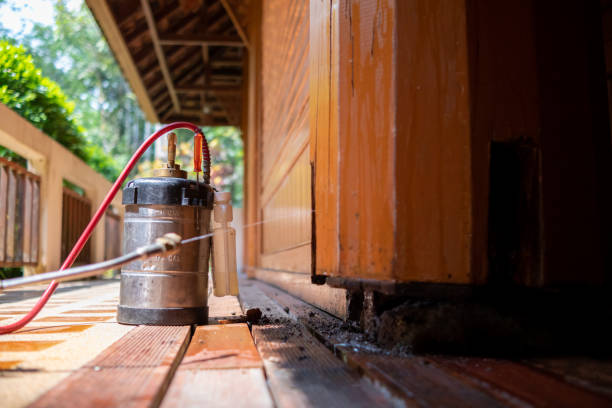 Best Bed Bug Extermination  in Galax, VA