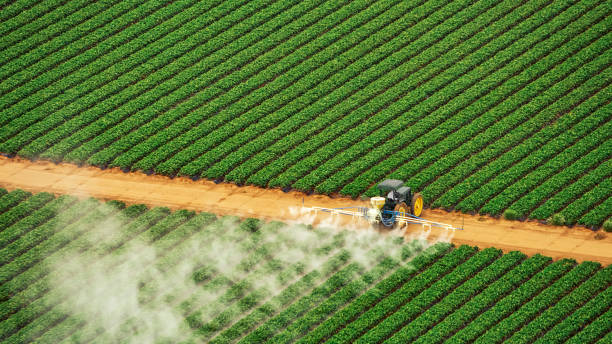 Best Pest Removal Services  in Galax, VA