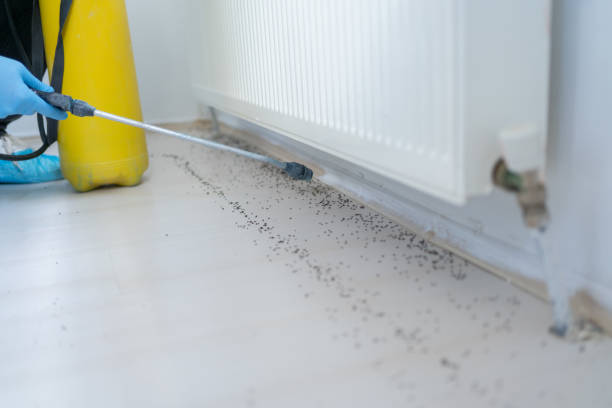 Best Pest Prevention Services  in Galax, VA
