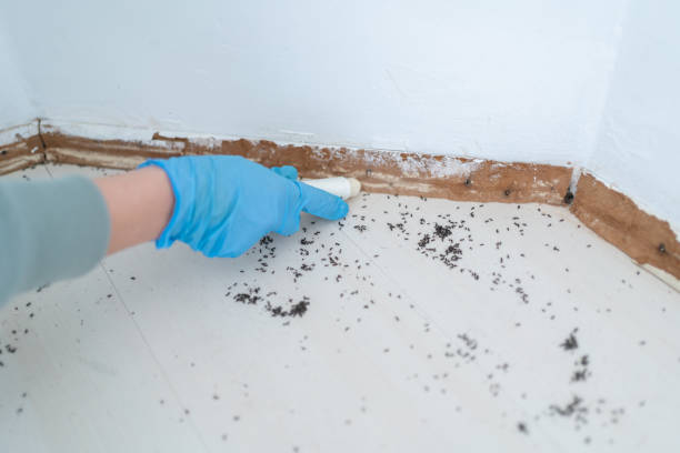 Pest Control Cost in Galax, VA