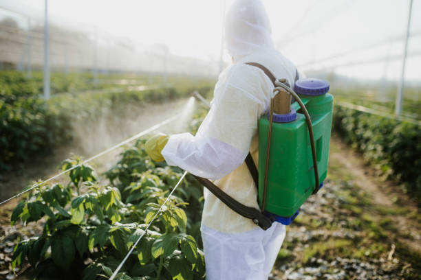 Best Commercial Pest Control Services  in Galax, VA